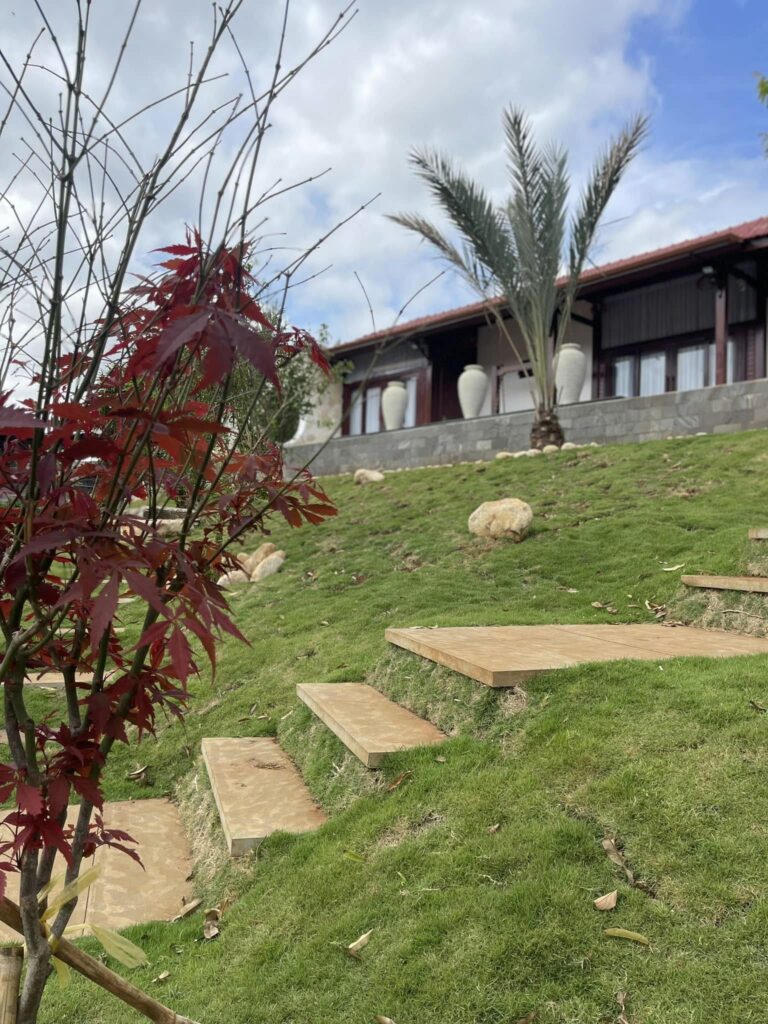 419507856 10161612768124604 4870437697140982845 n Kiến trúc S